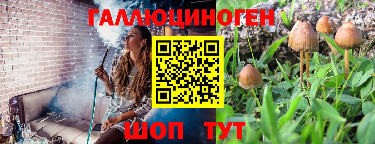 Гатчина  где можно купить   Галлюциногенные грибы мухоморы  Вход с VPN  Галлюциногенные грибы Magic Shrooms 